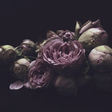 Alex — ASHLEY WOODSON BAILEY