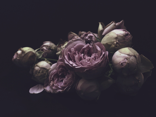 Alex — ASHLEY WOODSON BAILEY