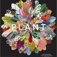 Amazon.com: Plant: Exploring the Botanical World (9780714871486): Phaidon Editors: Books