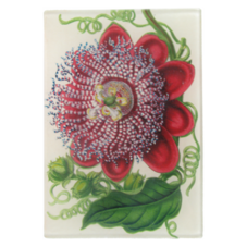 John Derian Company Inc — Passiflora