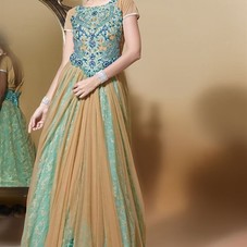 Fawn, Sky Blue Net  Embroidered Designer Suit