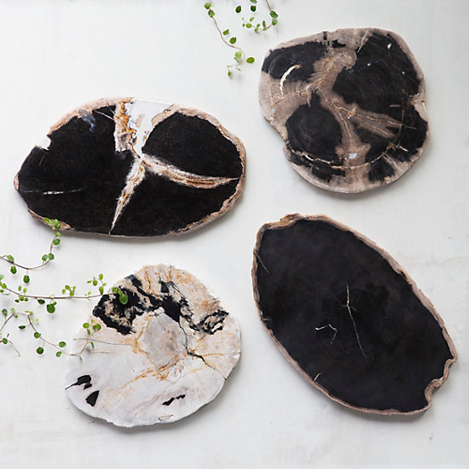 Petrified Wood Serving Board in  House + Home Serving at Terrain