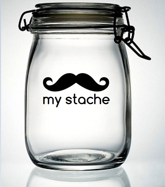 My Stache Mustache Moustache Vinyl Decal Sticker  by meandmy3boys