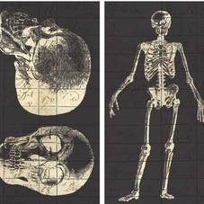 Amazon.com: HomArt Large Decorative Infirmerie General Matches: Home & Kitchen