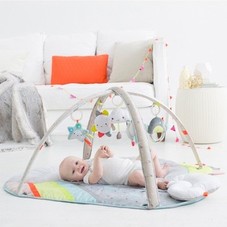 Skip Hop 'Silver Lining' Activity Gym | Nordstrom