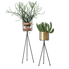 Iron Plant Stands - TRNK