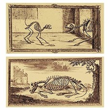 Amazon.com: World Buyers Decorative Matches, Angel and Madonna, Pack of 2 Matchboxes: Sports & Outdoors