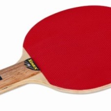 Buy T.T. Bat, Practice Table Tennis Bats, Training TT Bat, Online, India
