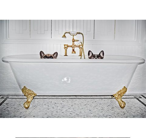 SOAK AMONGST FRIENDS | Mayor B.