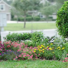Cottage Gardens Inc. | Not your typical landscape