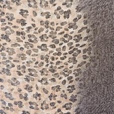 New Look | New Look Heavy Weight Leopard Tipped Scarf at ASOS