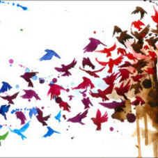 Birds Birds Birds | Eyes On Walls