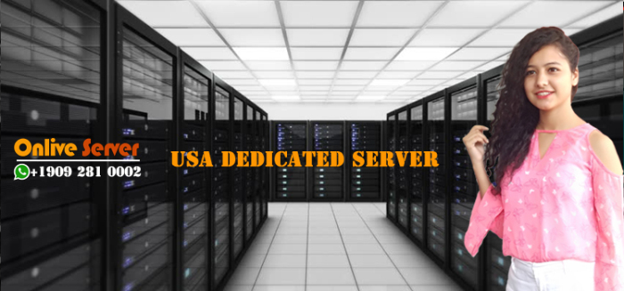 USA Dedicated Server Hosting - Onlive Server